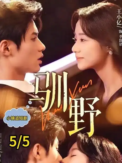 热播电视剧全集推荐